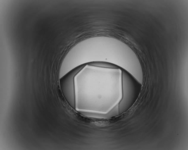 X0000085080417200703051112