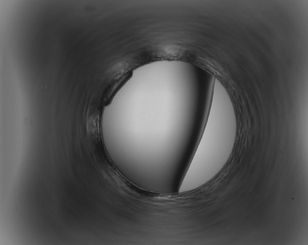 X0000085080425200703051112