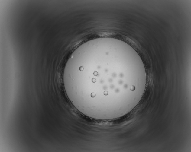 X0000085080426200703051112