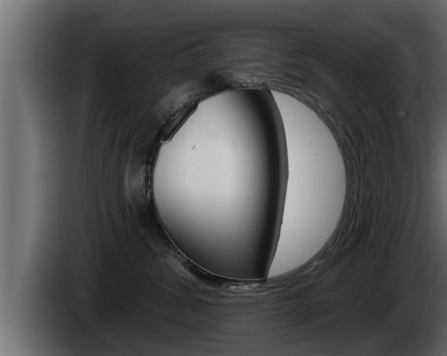 X0000085080428200703051112