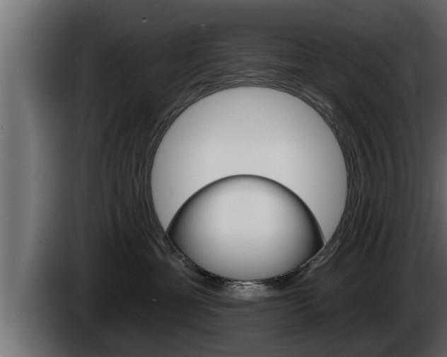X0000085080429200703051112