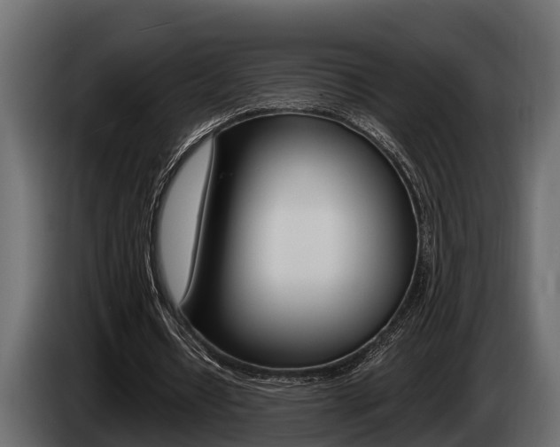 X0000085080434200703051112