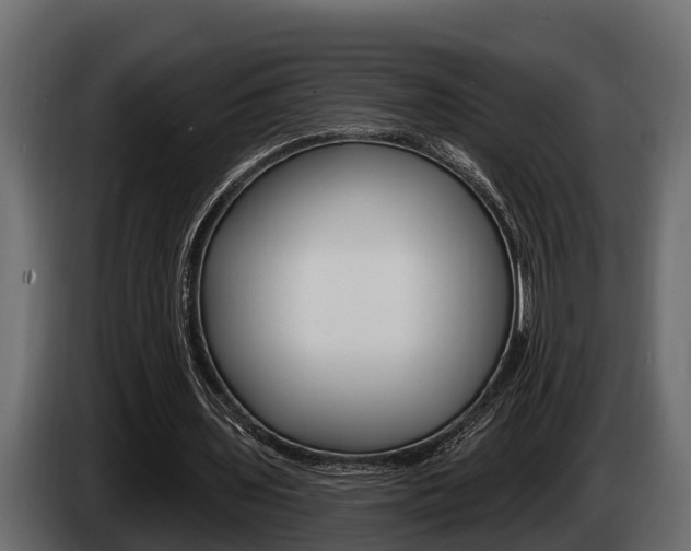 X0000085080435200703051112