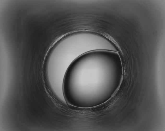 X0000085080436200703051112