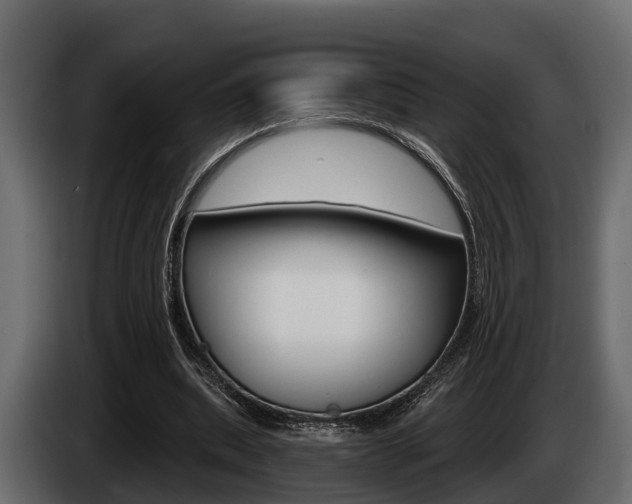 X0000085080439200703051112