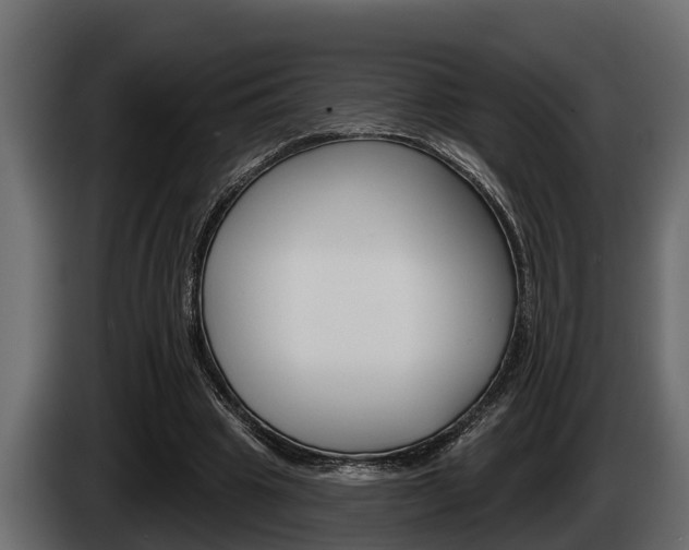 X0000085080441200703051112