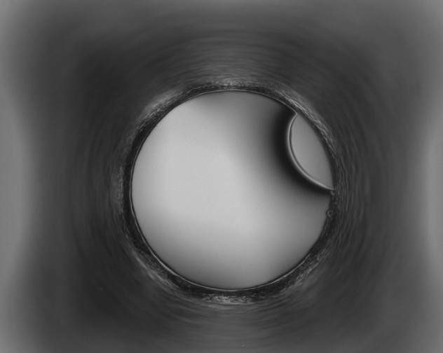X0000085080442200703051112