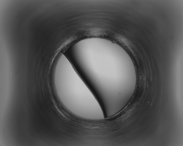 X0000085080443200703051112