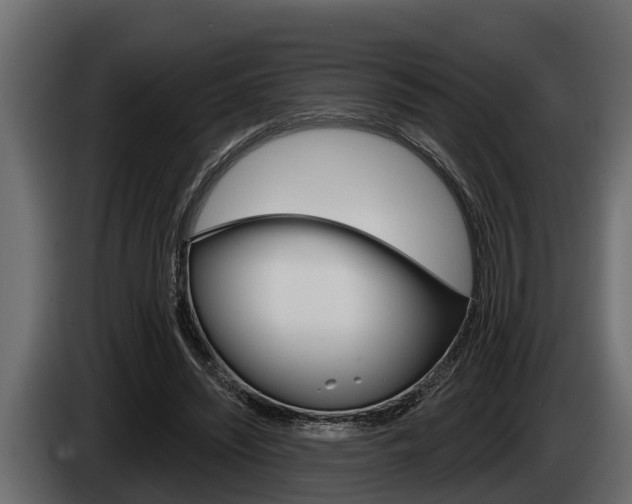 X0000085080444200703051112