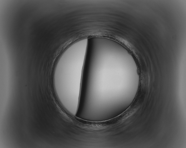 X0000085080445200703051112