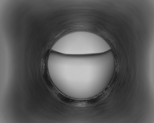 X0000085080456200703051112