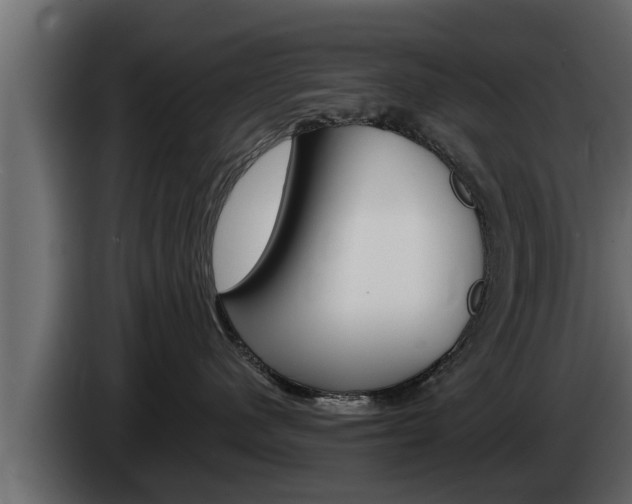 X0000085080480200703051112