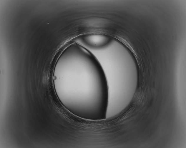 X0000085080483200703051112