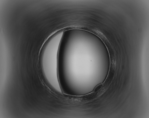 X0000085080484200703051112