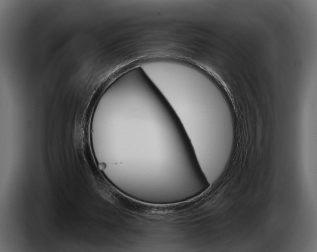 X0000085080487200703051111