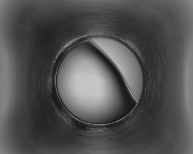 X0000085080488200703051111