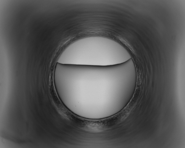 X0000085080494200703051111