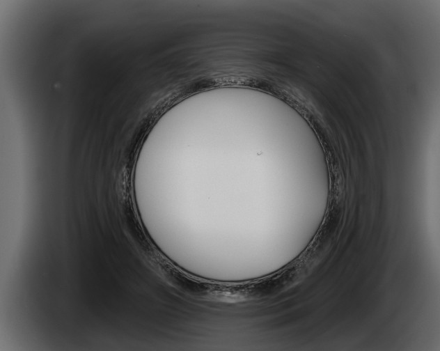 X0000085080498200703051111