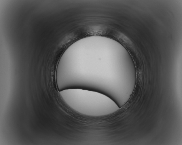 X0000085080499200703051111