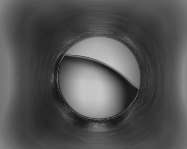 X0000085080500200703051111