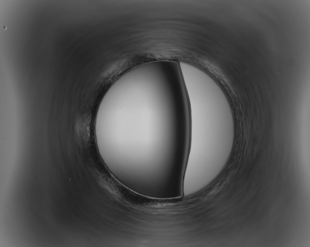 X0000085080501200703051111