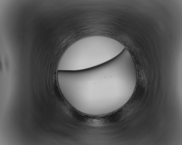 X0000085080506200703051111