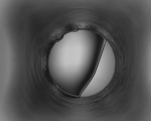 X0000085080509200703051111