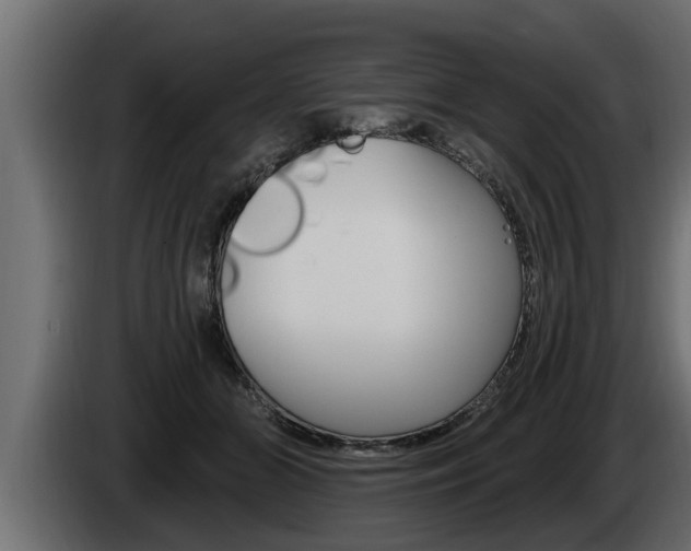 X0000085080510200703051111