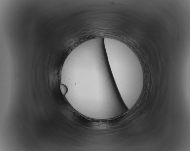 X0000085080511200703051111
