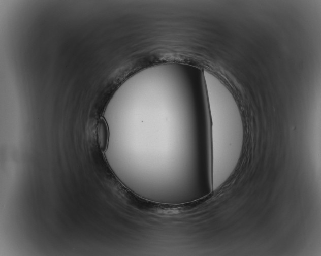 X0000085080513200703051111