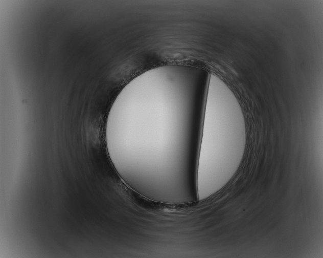 X0000085080515200703051111