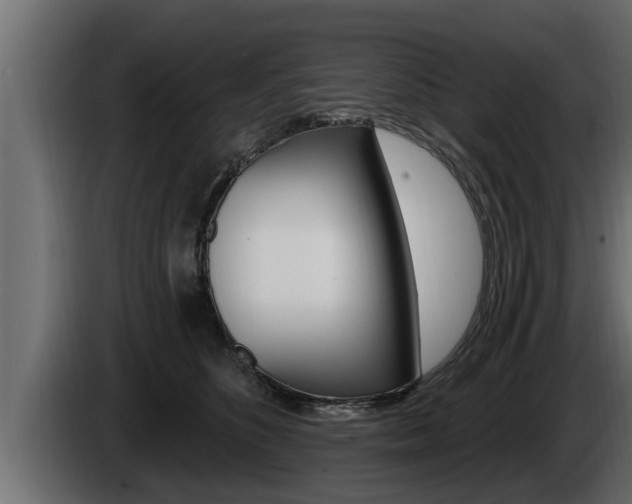 X0000085080516200703051111