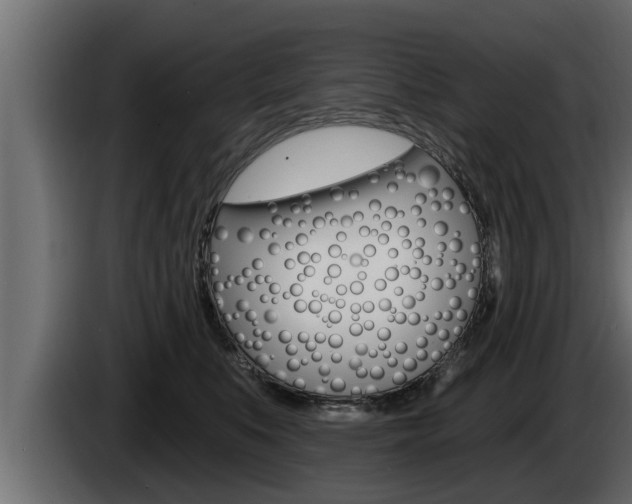 X0000085080519200703051111