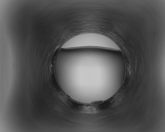 X0000085080520200703051111