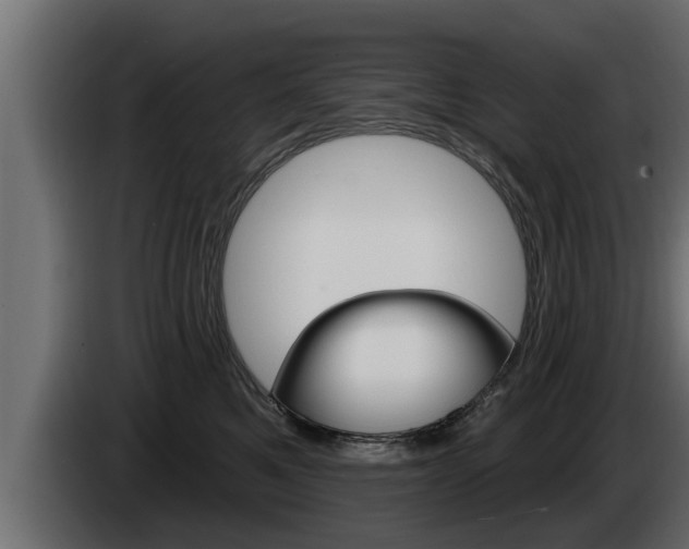 X0000085080521200703051111