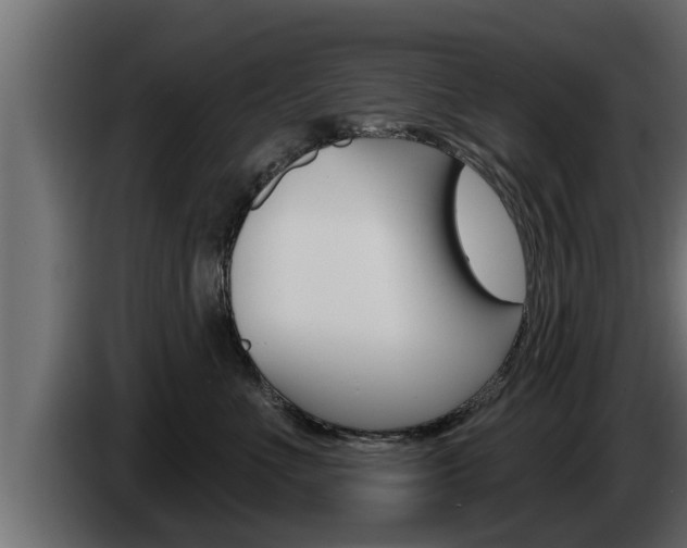 X0000085080523200703051111