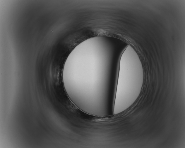 X0000085080525200703051111