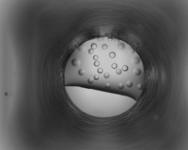 X0000085080527200703051111