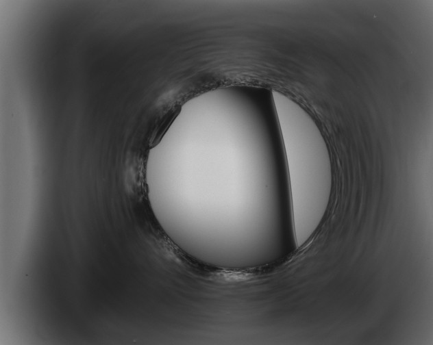 X0000085080528200703051111