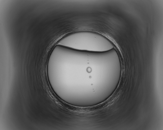 X0000085080529200703051110