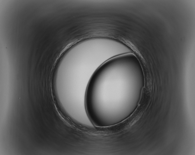 X0000085080530200703051110