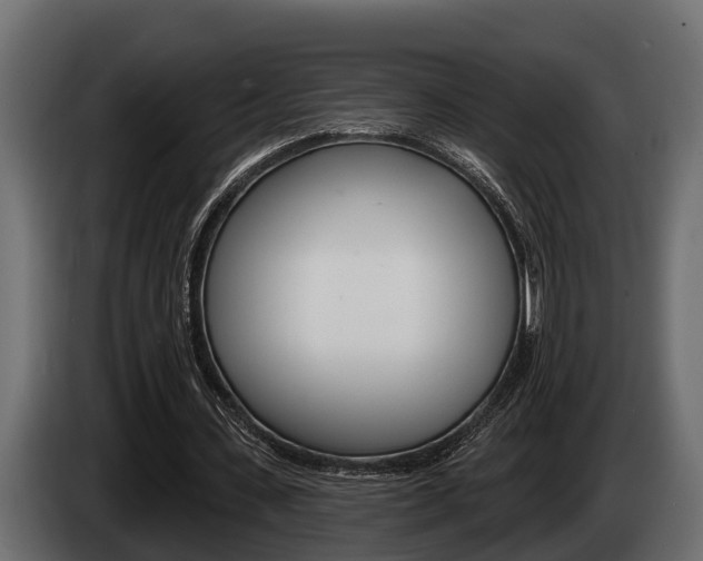 X0000085080531200703051110