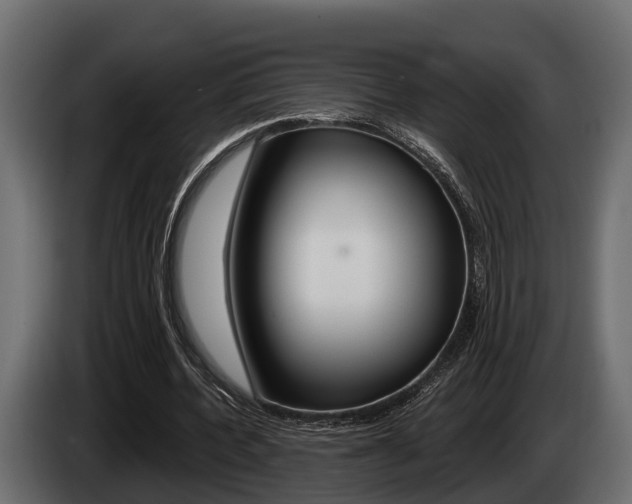 X0000085080532200703051110