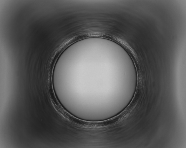 X0000085080533200703051110
