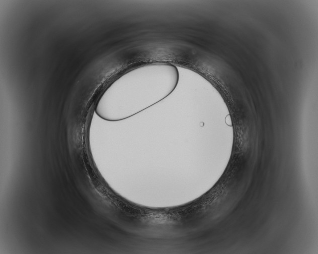 X0000085080534200703051110