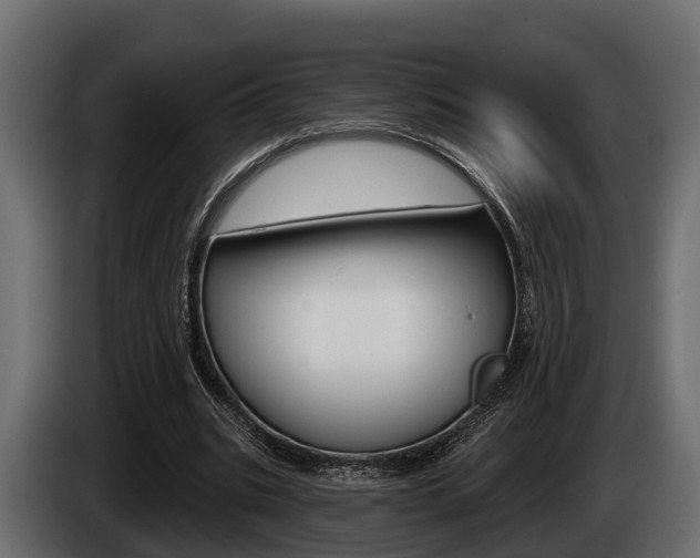 X0000085080535200703051110