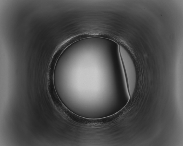X0000085080536200703051110