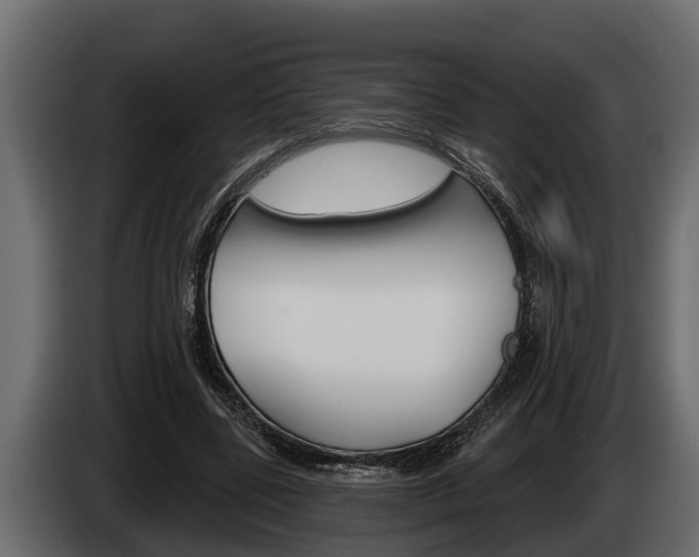 X0000085080539200703051110