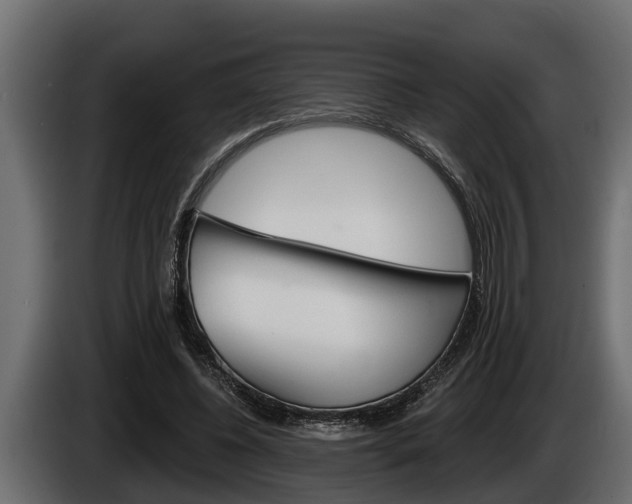X0000085080540200703051110