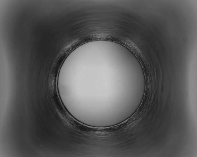 X0000085080542200703051110